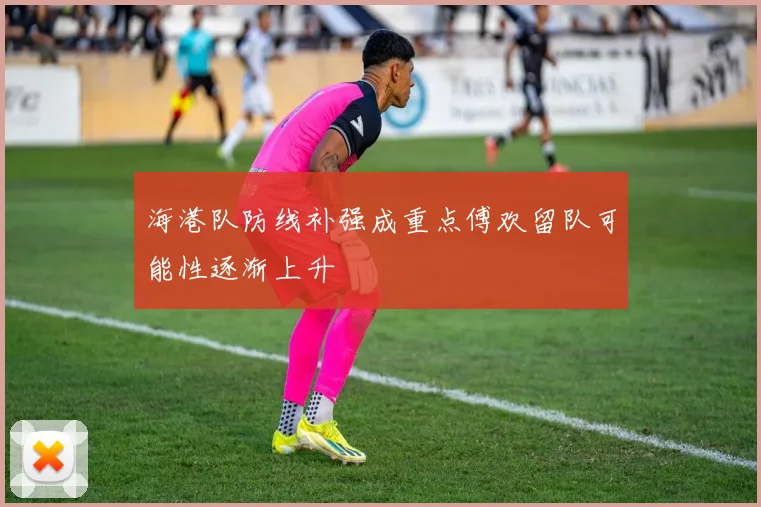 海港队防线补强成重点傅欢留队可能性逐渐上升