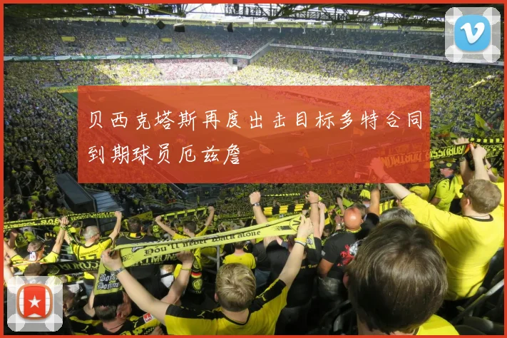 贝西克塔斯再度出击目标多特合同到期球员厄兹詹
